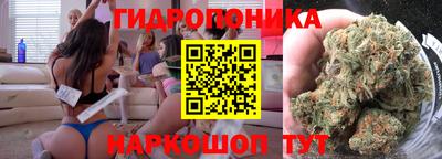 кокс Нальчик
