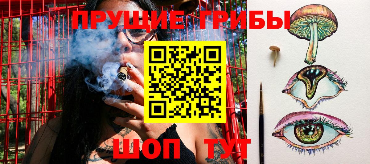 Галлюциногенные грибы GOLDEN TEACHER  Вход с VPN  Тосно 