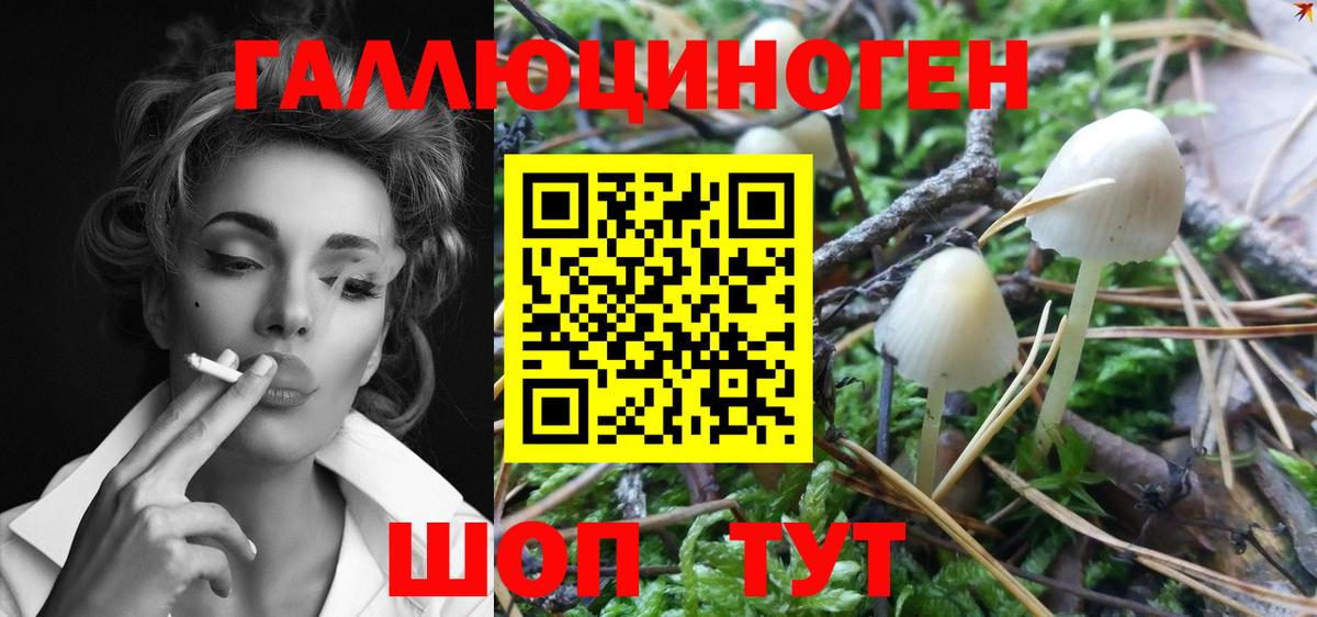 Псилоцибиновые грибы GOLDEN TEACHER Тосно
